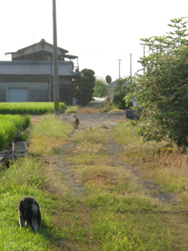 d0137083_2232478.jpg