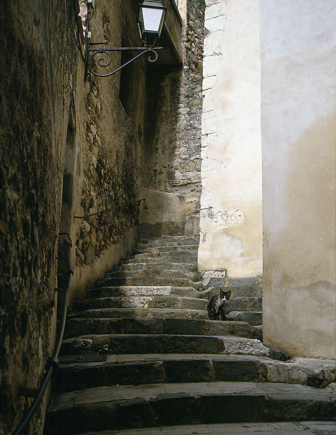 b0160186_8472653.jpg