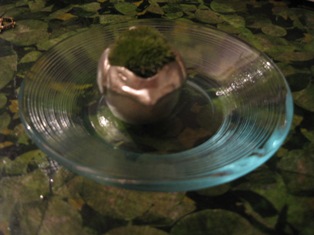 c0099395_11454617.jpg