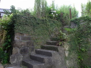 f0155495_1935381.jpg