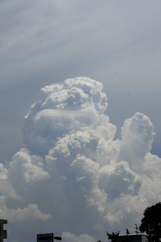 c0129498_23595232.jpg