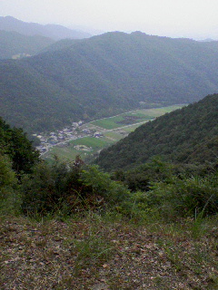 d0000298_1521843.jpg