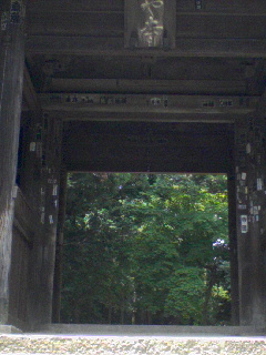 d0000298_1522254.jpg