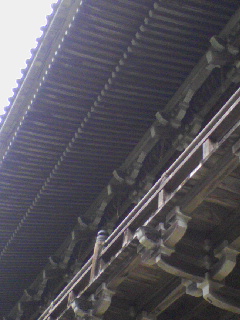 d0000298_15244693.jpg