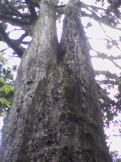 d0000298_15255773.jpg