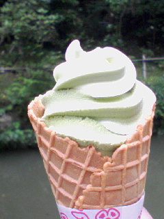 d0000298_1535782.jpg