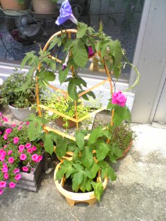 c0048004_131631100.jpg