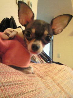 f0003804_116979.jpg
