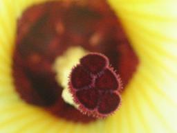 f0077807_20103499.jpg