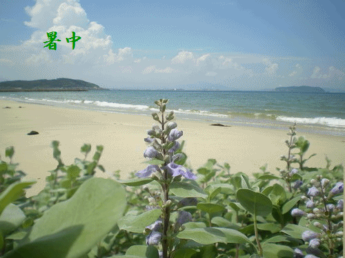 b0052108_03099.gif