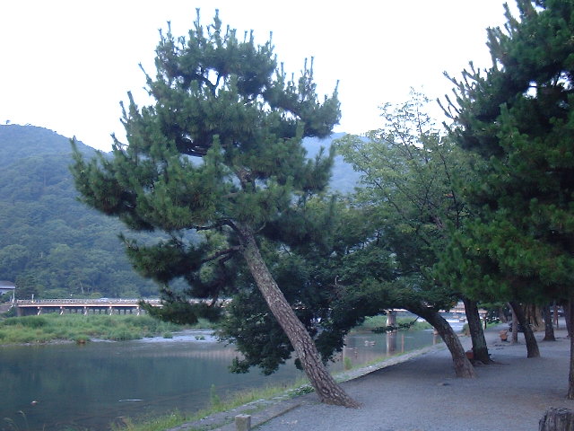 f0173908_1242812.jpg