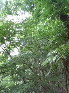 e0027813_16414574.jpg