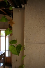 e0105916_11161775.jpg