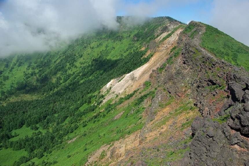 b0062024_15715.jpg