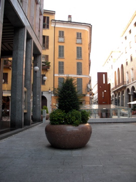 f0173324_17544454.jpg