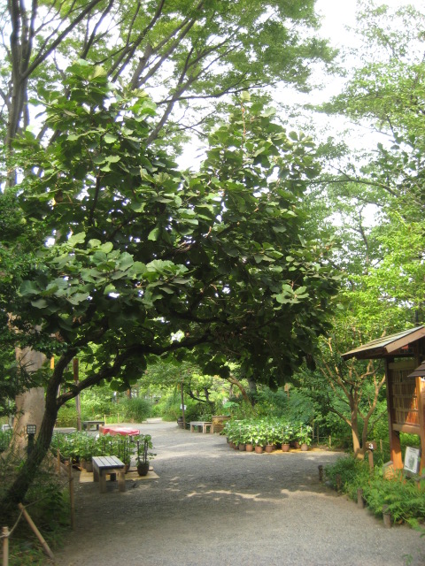 d0147727_19364695.jpg