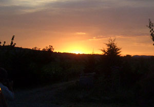 d0008832_1031369.jpg
