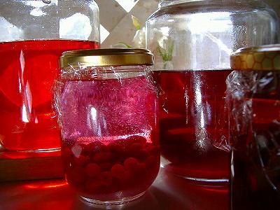 c0056437_005811.jpg