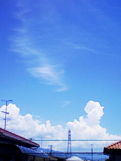 a0031338_22275396.jpg