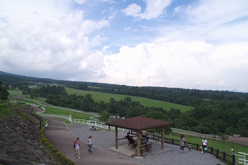 a0034438_1335149.jpg