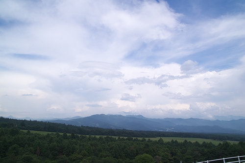 a0034438_13352473.jpg