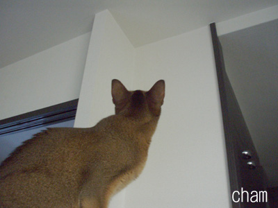 c0132438_21315864.jpg