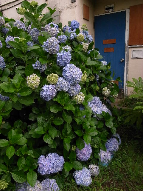 a0087341_1021869.jpg