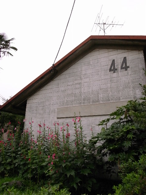 a0087341_105780.jpg
