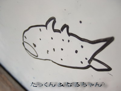e0027447_16464974.jpg