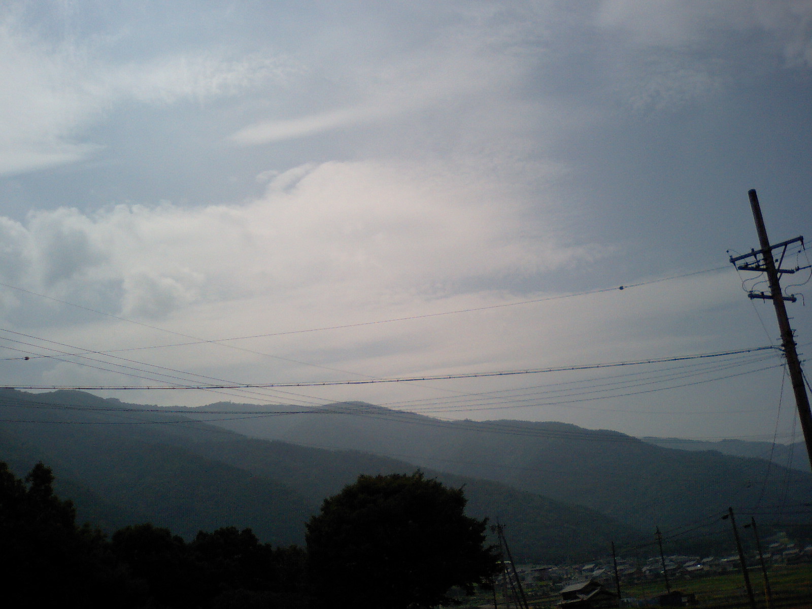 a0012449_553516.jpg