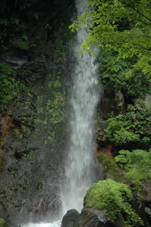d0118050_9193544.jpg