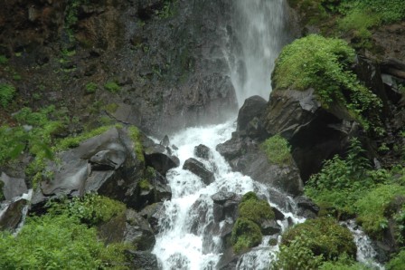 d0118050_9204610.jpg