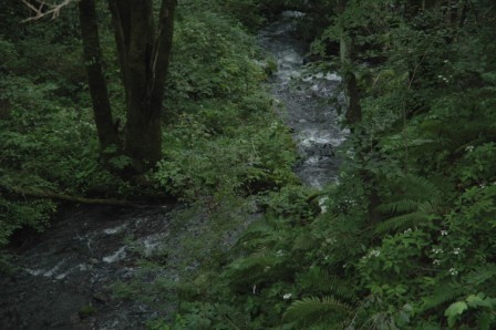 d0118050_973468.jpg