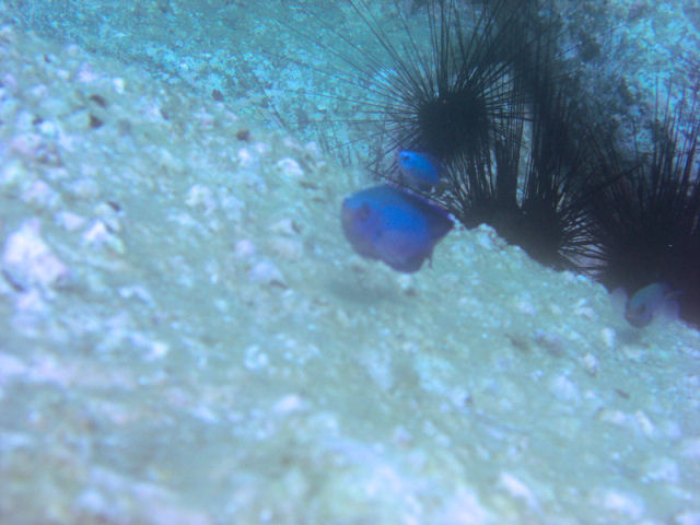 a0031454_1114053.jpg