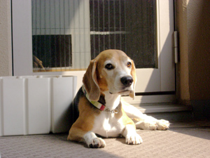 e0007060_2331339.jpg