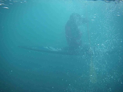 e0066062_11431343.jpg