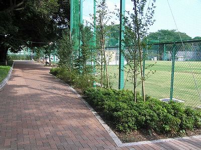 b0145863_2155347.jpg