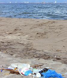f0150364_05042.jpg