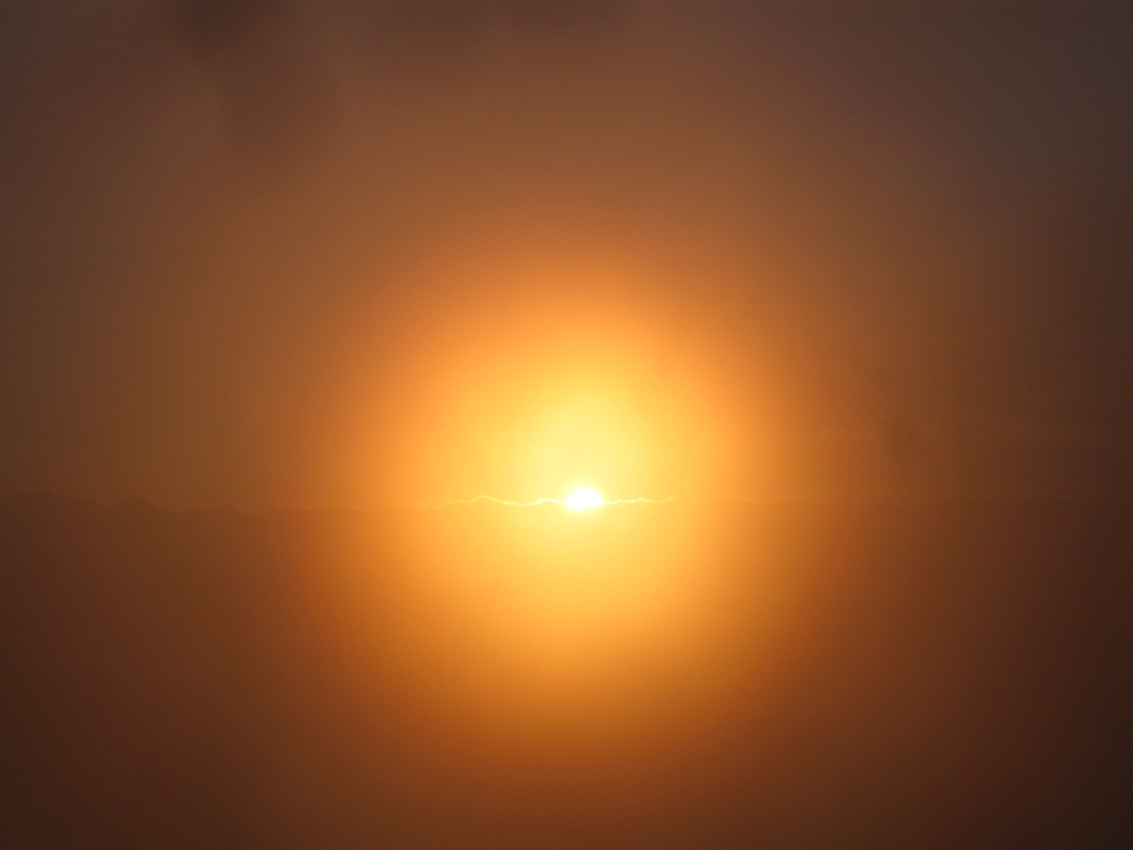 e0137165_1374028.jpg