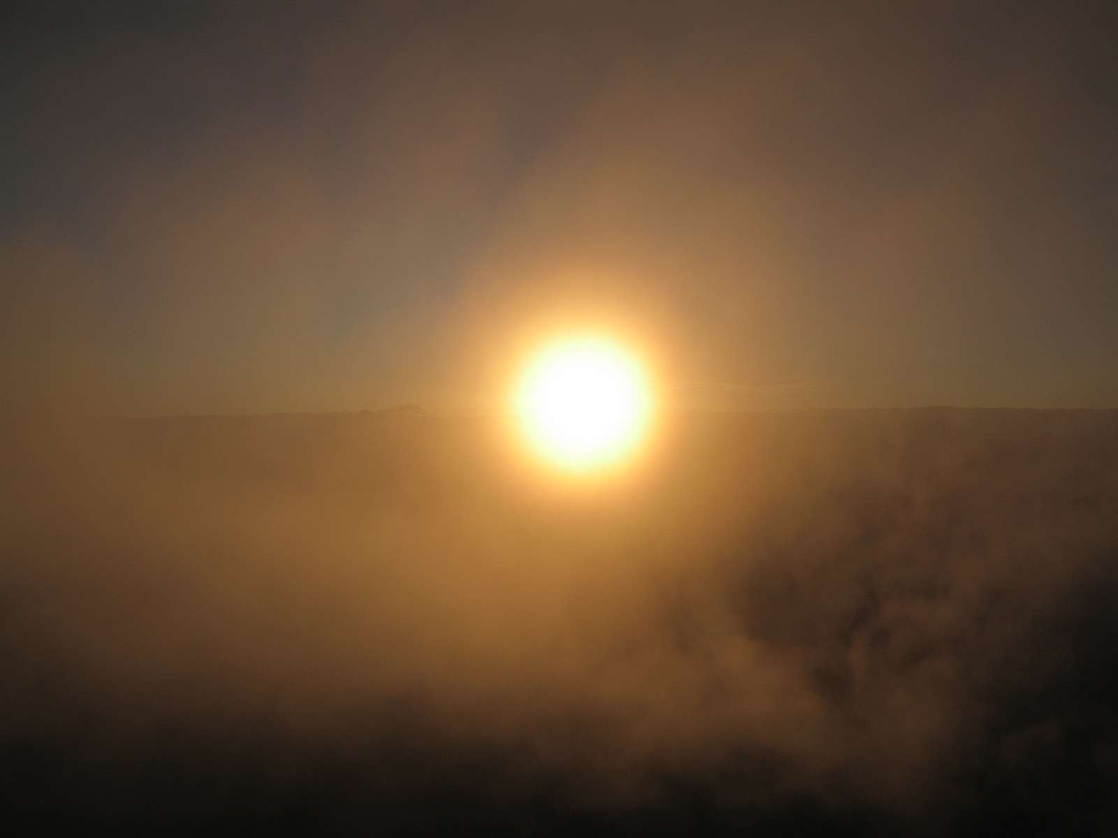 e0137165_1415174.jpg