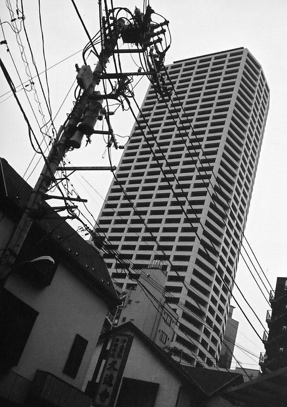 c0084666_254813.jpg
