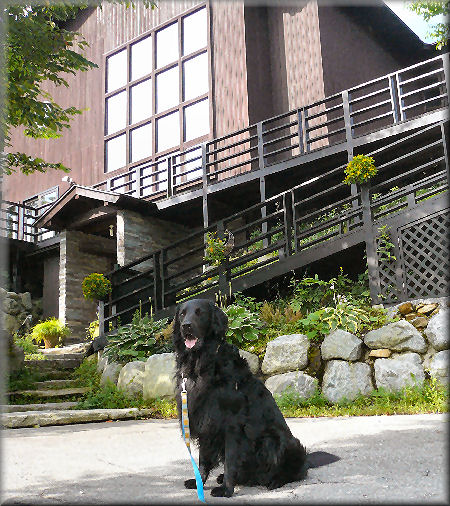 e0099375_15151377.jpg
