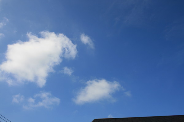 e0114977_169749.jpg