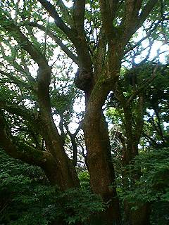 f0054677_7141015.jpg
