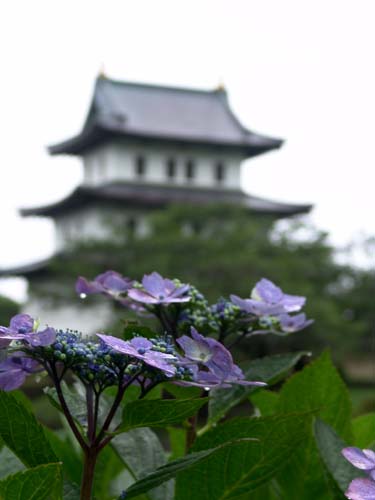 f0092382_995410.jpg