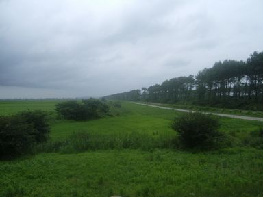 c0144683_145020.jpg