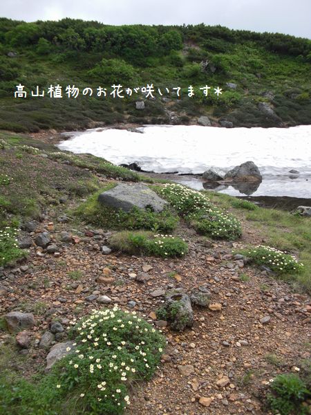 b0000885_648288.jpg