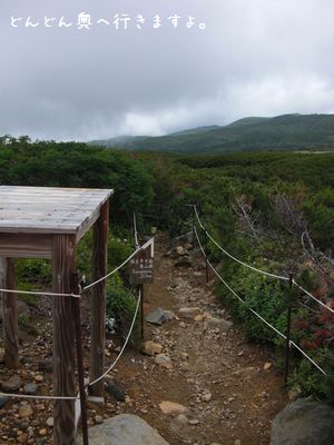 b0000885_6531659.jpg