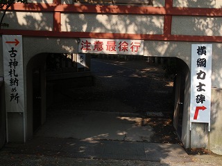 c0105785_9371993.jpg