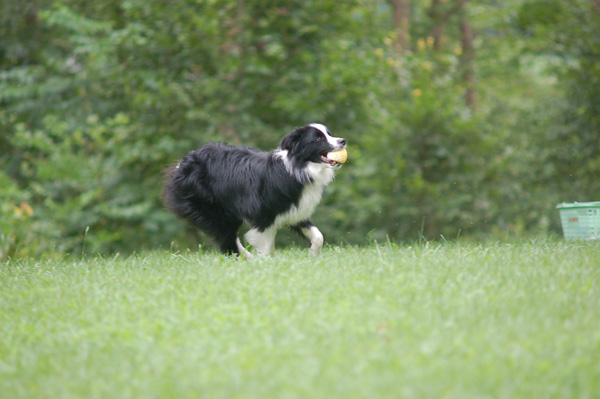 d0101385_9551155.jpg